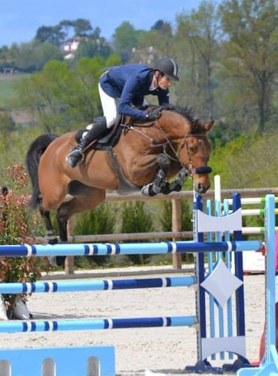 horse jumping